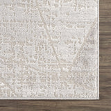 Hauteloom Limited Edition HLEBBASICA1 Light Gray Machine Made Polypropylene Rug