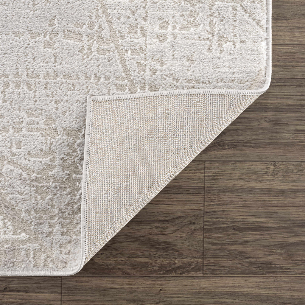 Hauteloom Limited Edition HLEBBASICA1 Light Gray Machine Made Polypropylene Rug
