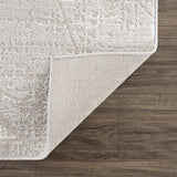 Hauteloom Limited Edition HLEBBASICA1 Light Gray Machine Made Polypropylene Rug