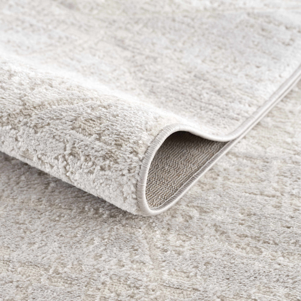 Hauteloom Limited Edition HLEBBASICA1 Light Gray Machine Made Polypropylene Rug