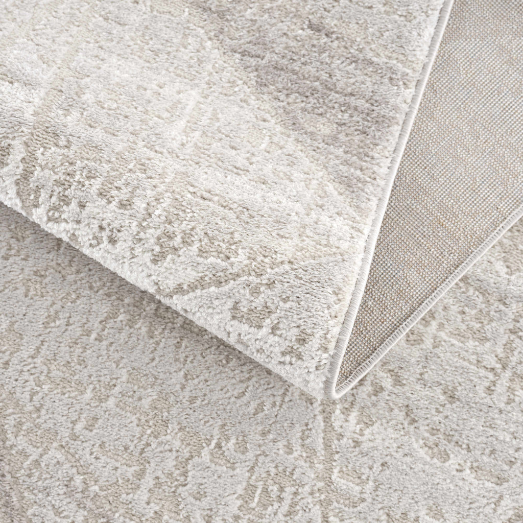 Hauteloom Limited Edition HLEBBASICA1 Light Gray Machine Made Polypropylene Rug