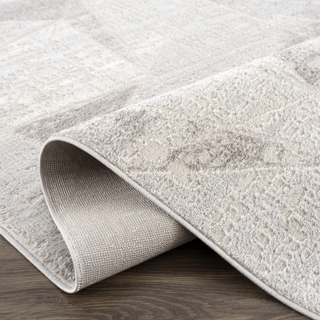 Hauteloom Limited Edition HLEBBASICA1 Light Gray Machine Made Polypropylene Rug