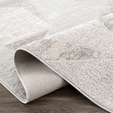 Hauteloom Limited Edition HLEBBASICA1 Light Gray Machine Made Polypropylene Rug