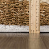Hauteloom Limited Edition HLEBBASICA1 Light Gray Machine Made Polypropylene Rug