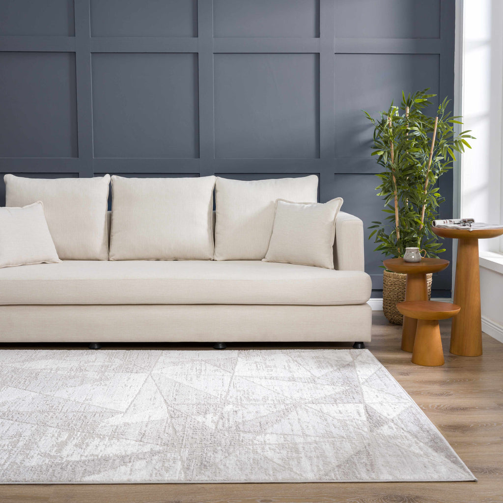 Hauteloom Limited Edition HLEBBASICA1 Light Gray Machine Made Polypropylene Rug