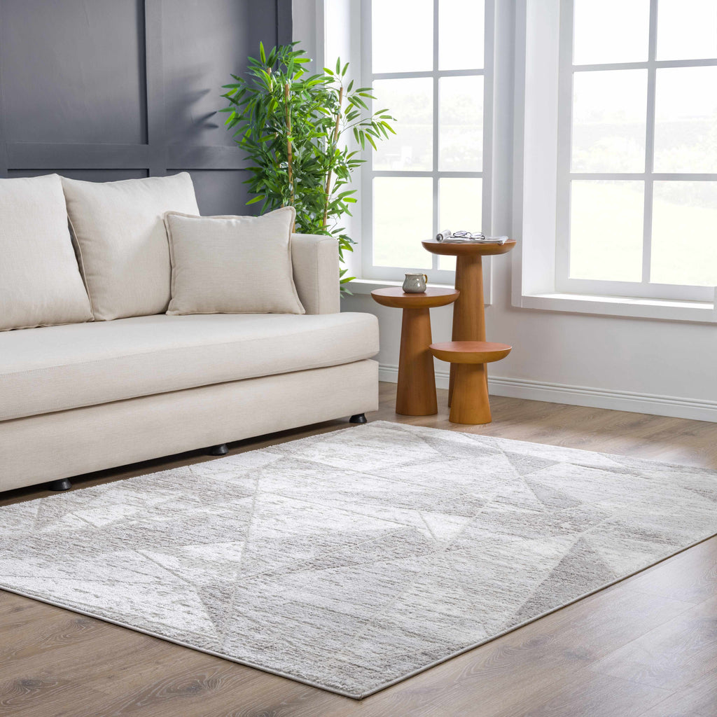 Hauteloom Limited Edition HLEBBASICA1 Light Gray Machine Made Polypropylene Rug