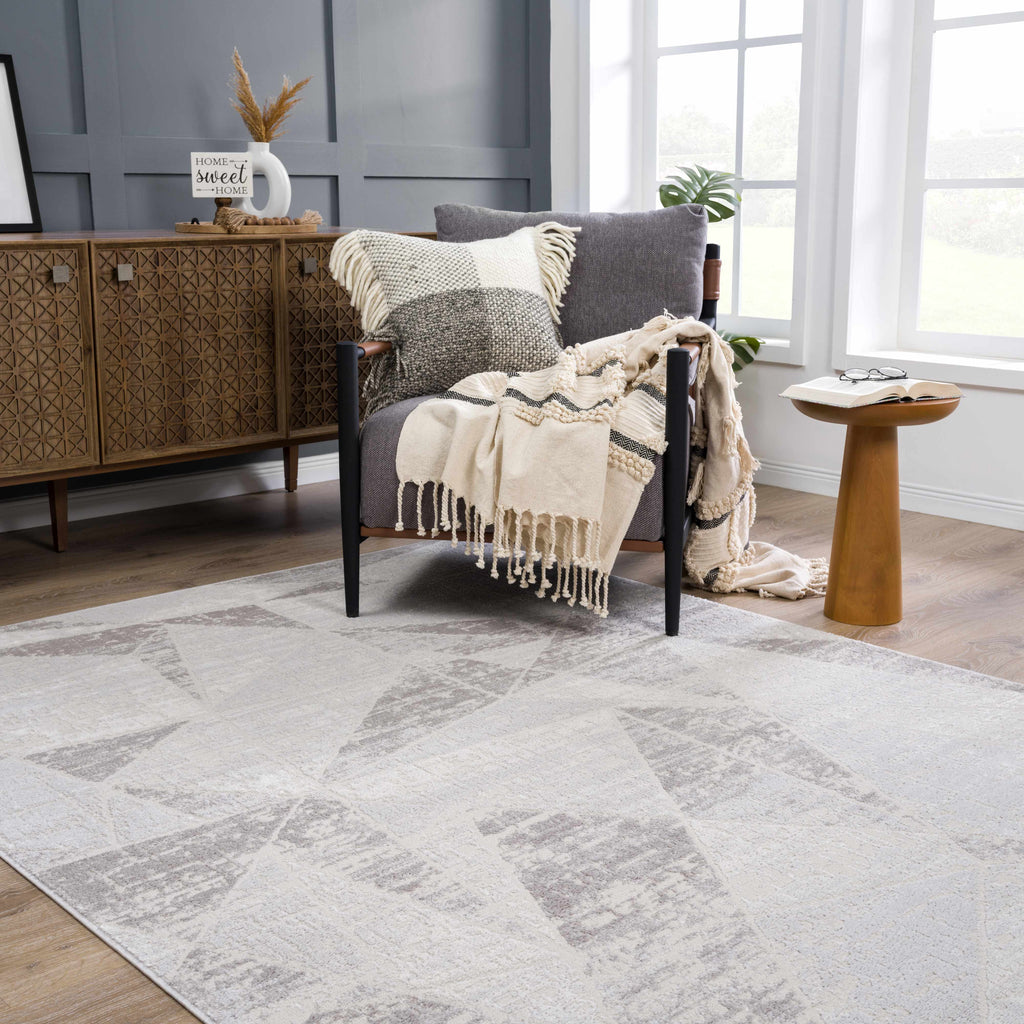 Hauteloom Limited Edition HLEBBASICA1 Light Gray Machine Made Polypropylene Rug