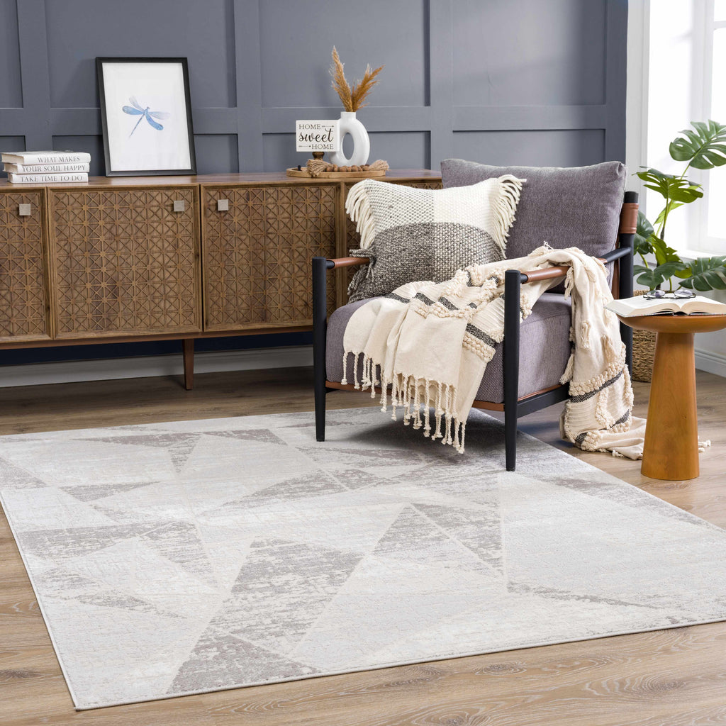 Hauteloom Limited Edition HLEBBASICA1 Light Gray Machine Made Polypropylene Rug