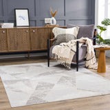 Hauteloom Limited Edition HLEBBASICA1 Light Gray Machine Made Polypropylene Rug