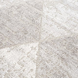 Hauteloom Limited Edition HLEBBASICA1 Light Gray Machine Made Polypropylene Rug