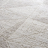 Hauteloom Limited Edition HLEBBASICA1 Light Gray Machine Made Polypropylene Rug