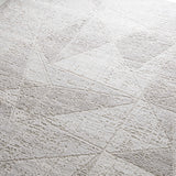 Hauteloom Limited Edition HLEBBASICA1 Light Gray Machine Made Polypropylene Rug