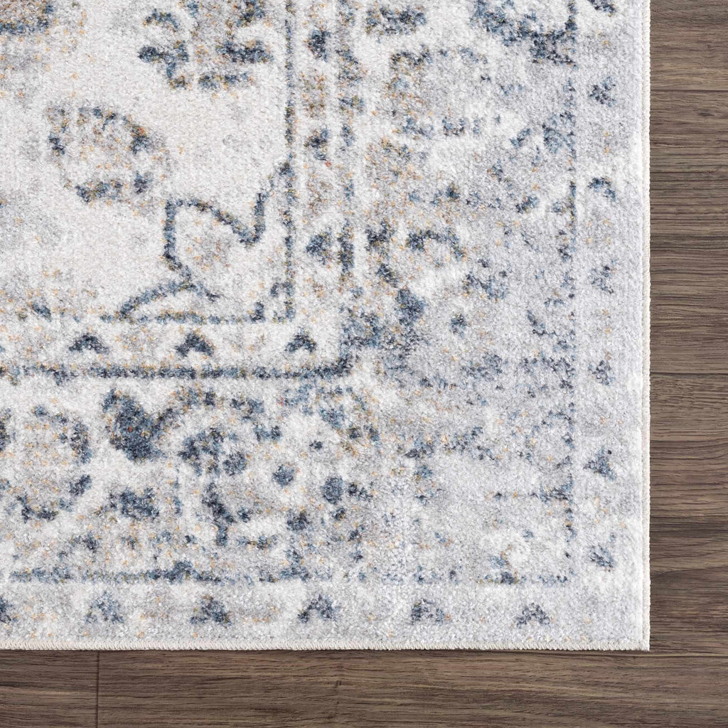 Hauteloom Rudo SLLIRUDOAA2 Light Gray Machine Made Polyester Rug