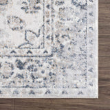 Hauteloom Rudo SLLIRUDOAA2 Light Gray Machine Made Polyester Rug