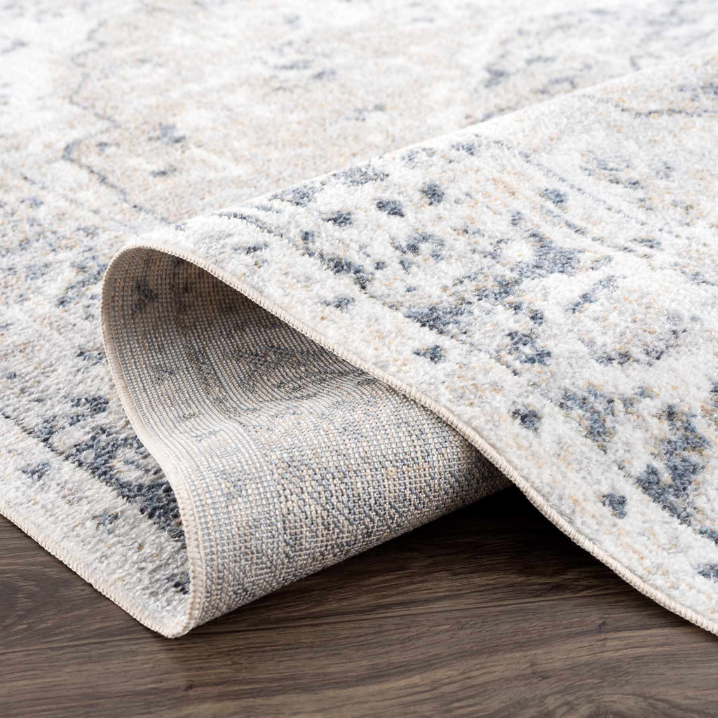 Hauteloom Rudo SLLIRUDOAA2 Light Gray Machine Made Polyester Rug