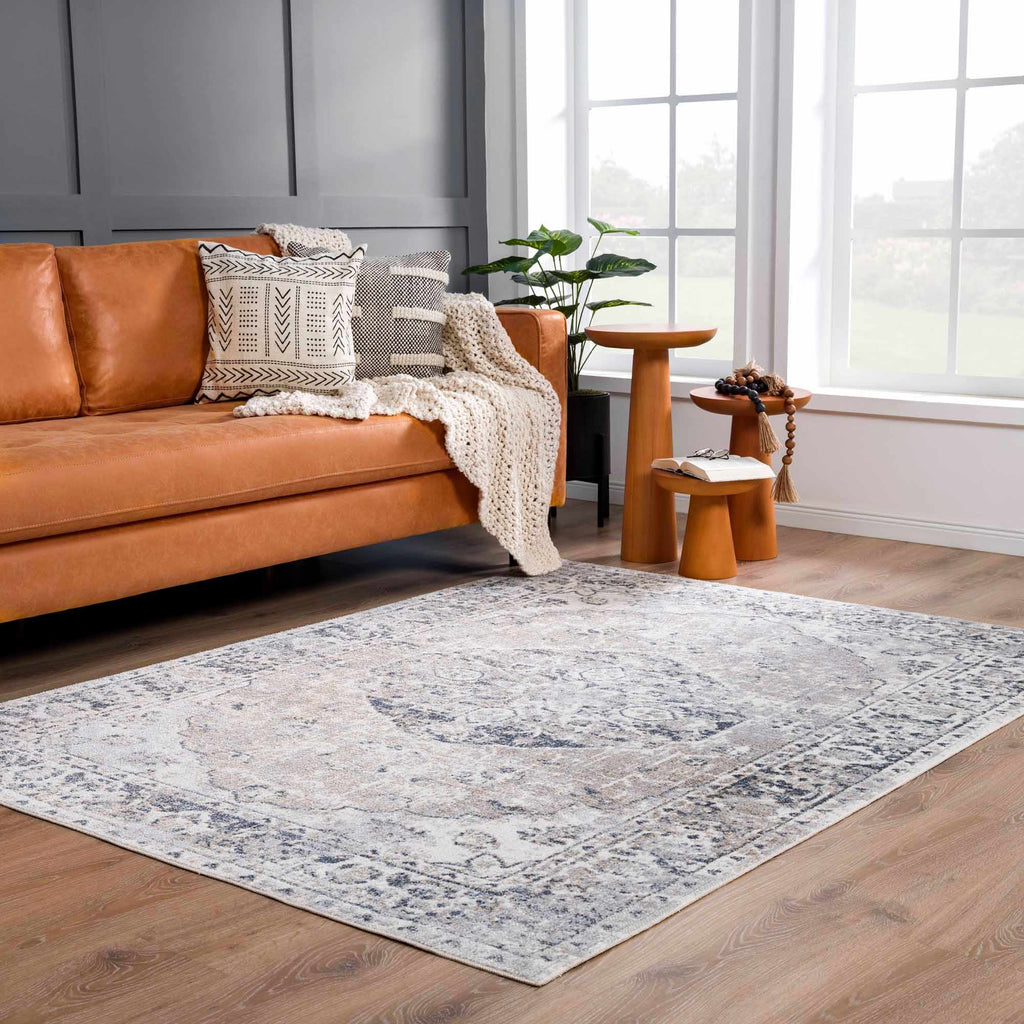 Hauteloom Rudo SLLIRUDOAA2 Light Gray Machine Made Polyester Rug