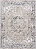 Hauteloom Rudo SLLIRUDOAA3 Gray Machine Made Polyester Rug