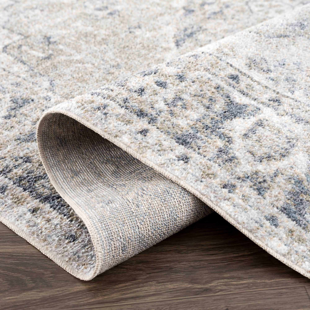 Hauteloom Rudo SLLIRUDOAA3 Gray Machine Made Polyester Rug