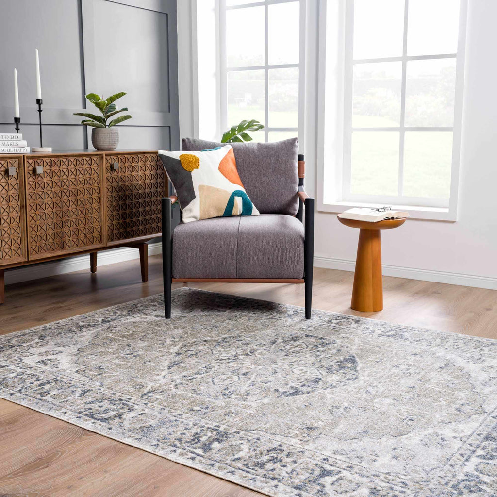 Hauteloom Rudo SLLIRUDOAA3 Gray Machine Made Polyester Rug