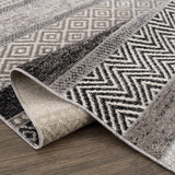 Hauteloom Middlestown MDDKA Black Machine Made Polyester Rug