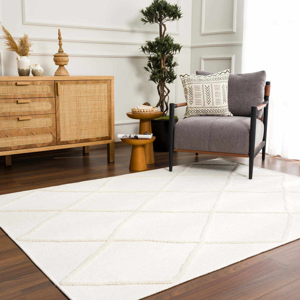 Hauteloom Amani SLYBAMANIA1 White Machine Made Polypropylene Rug