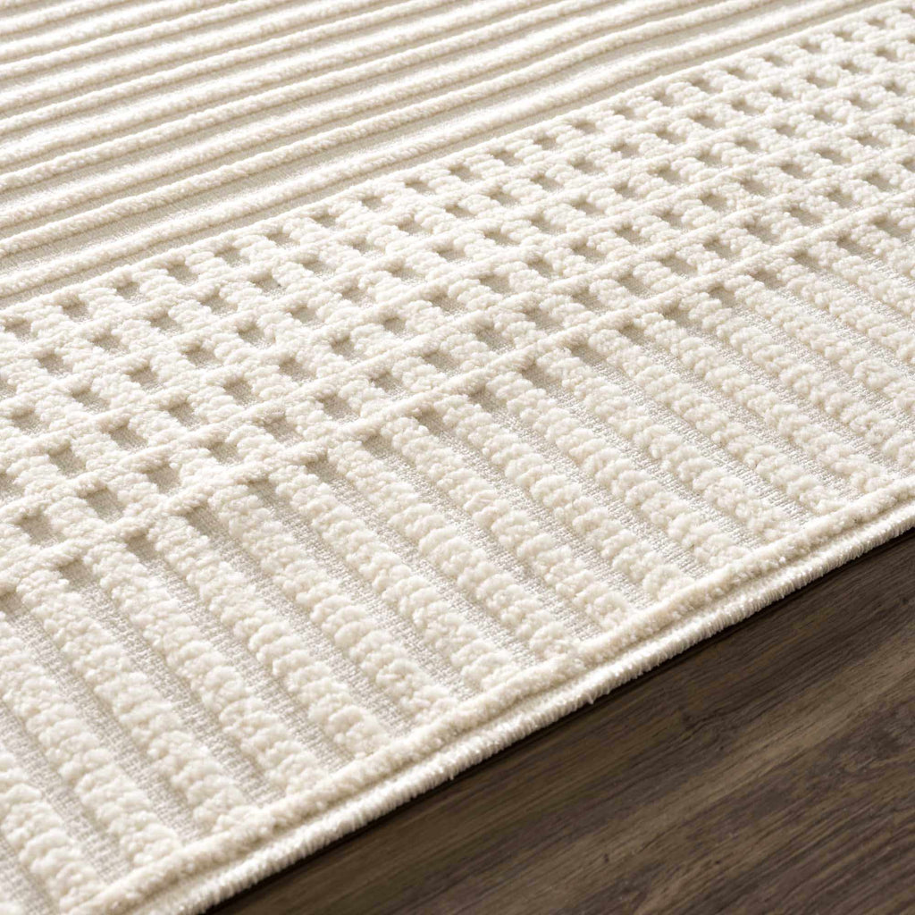 Hauteloom Rhun SLYBRHUN8A1 White Machine Made Polypropylene Rug