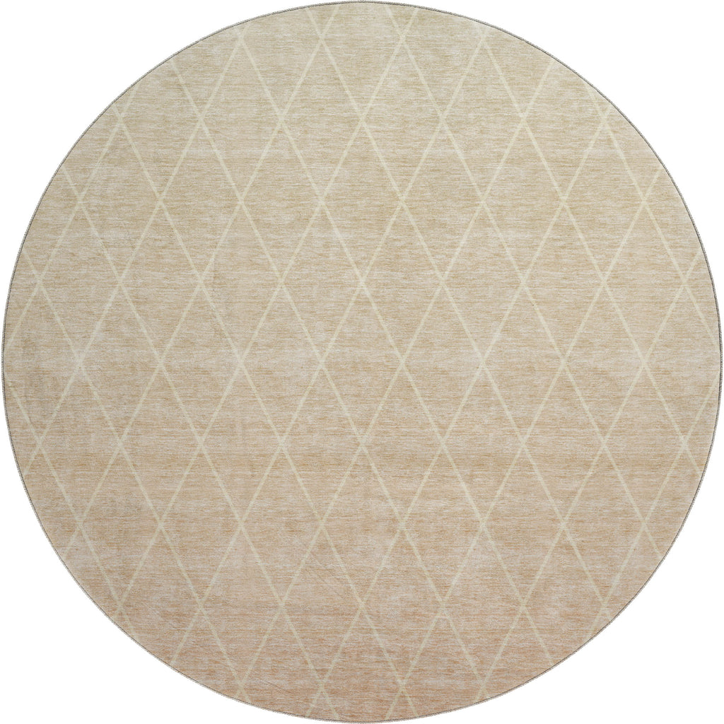 dalyn lazio lz2 salmon rug