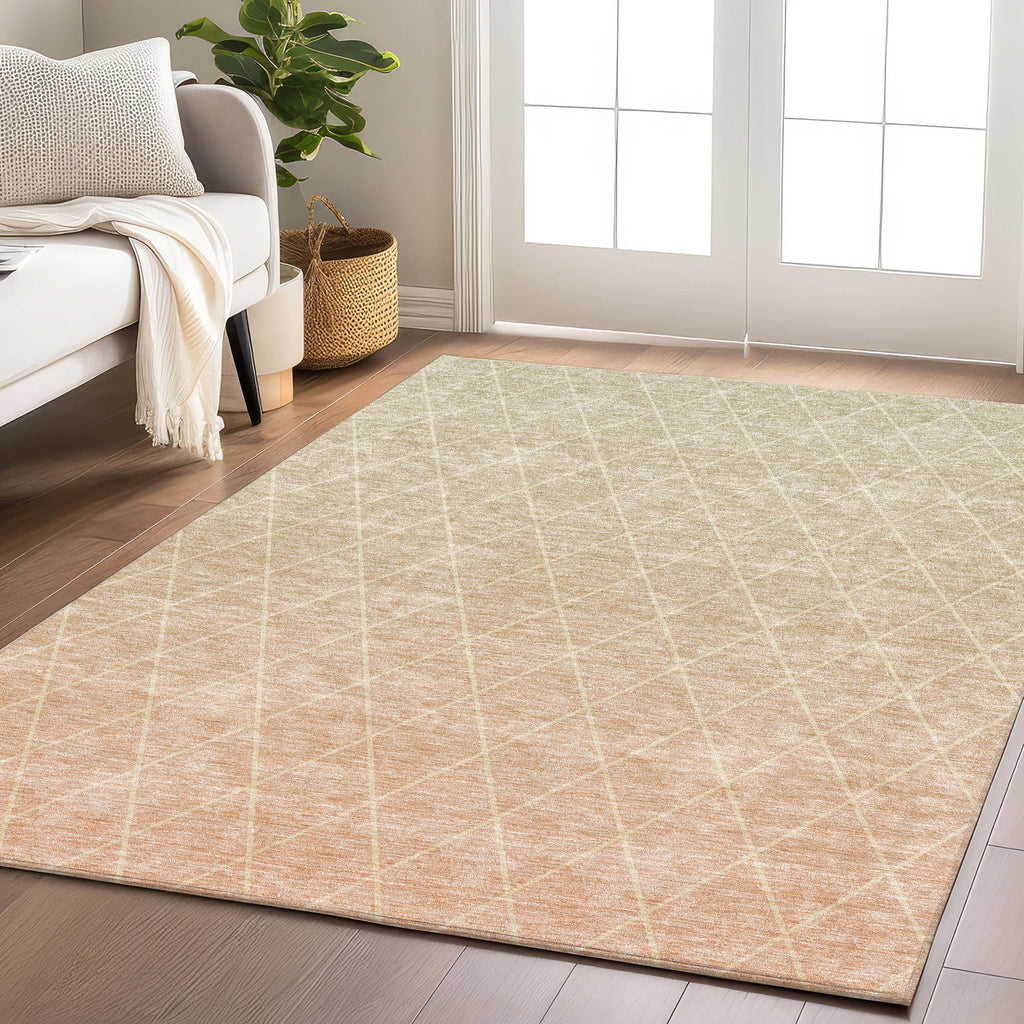 dalyn lazio lz2 salmon rug
