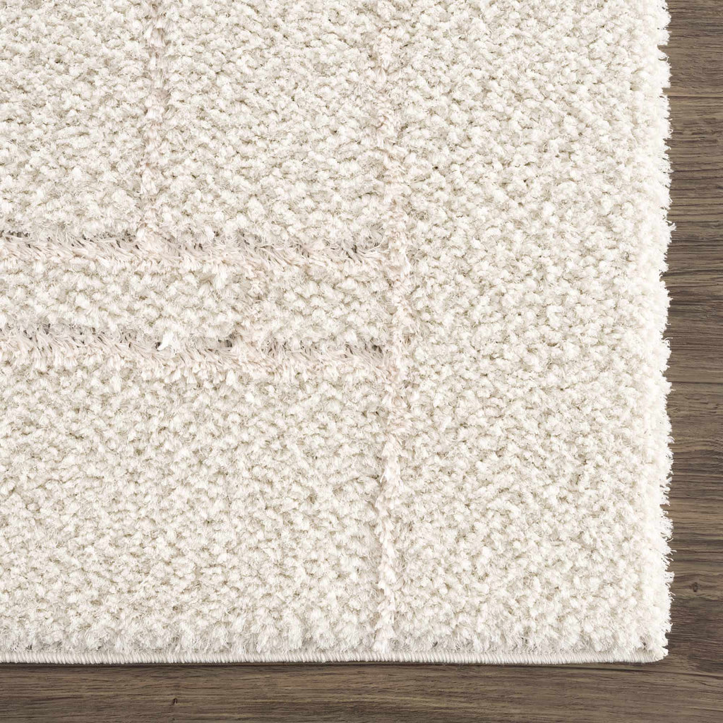 Hauteloom Andia HMSGANDIAA2 Cream Machine Made Polyester Rug