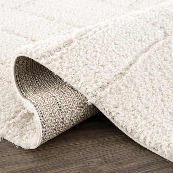 Hauteloom Andia HMSGANDIAA2 Cream Machine Made Polyester Rug