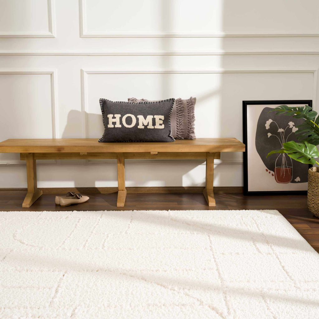 Hauteloom Andia HMSGANDIAA2 Cream Machine Made Polyester Rug