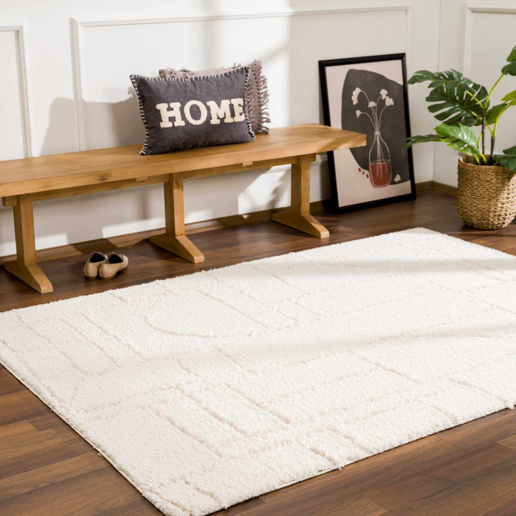 Hauteloom Andia HMSGANDIAA2 Cream Machine Made Polyester Rug