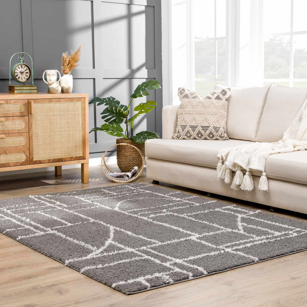 Hauteloom Andia HMSGANDIAA3 Gray Machine Made Polyester Rug