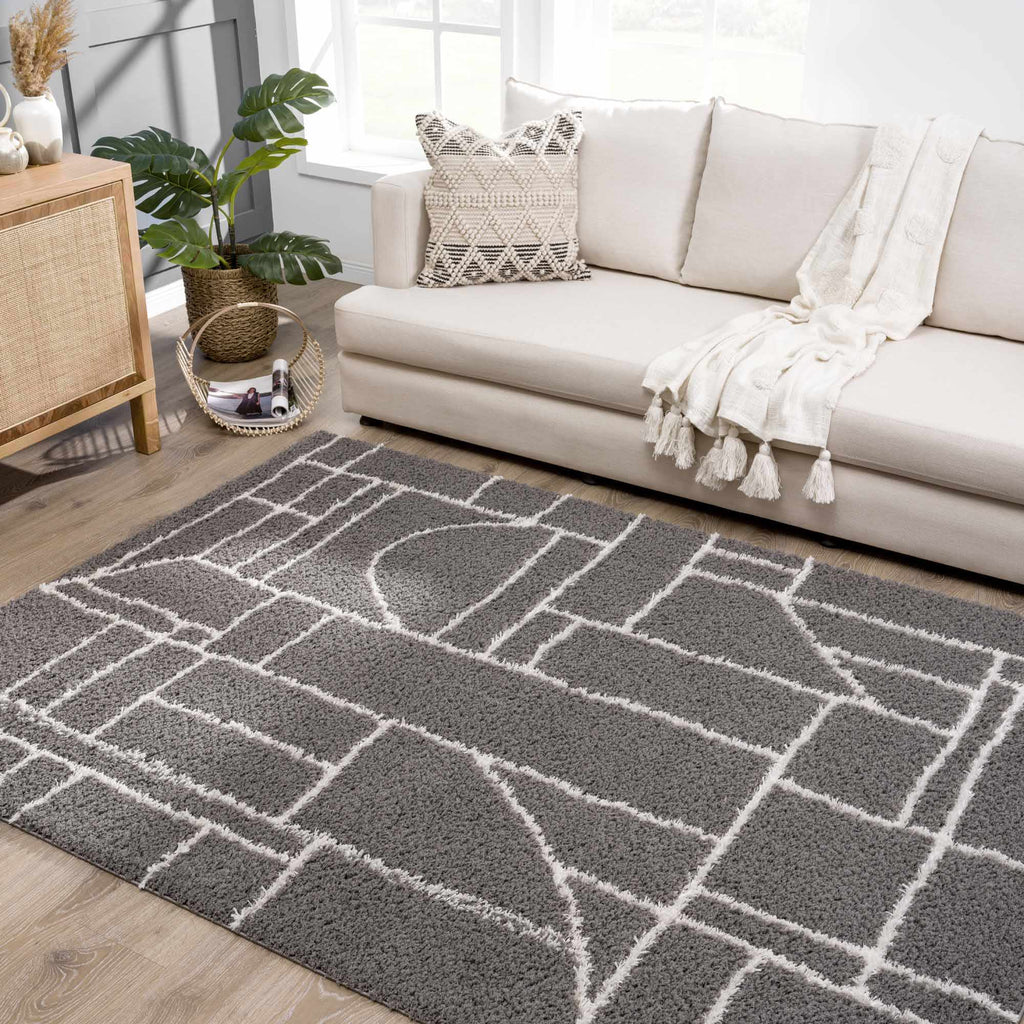 Hauteloom Andia HMSGANDIAA3 Gray Machine Made Polyester Rug