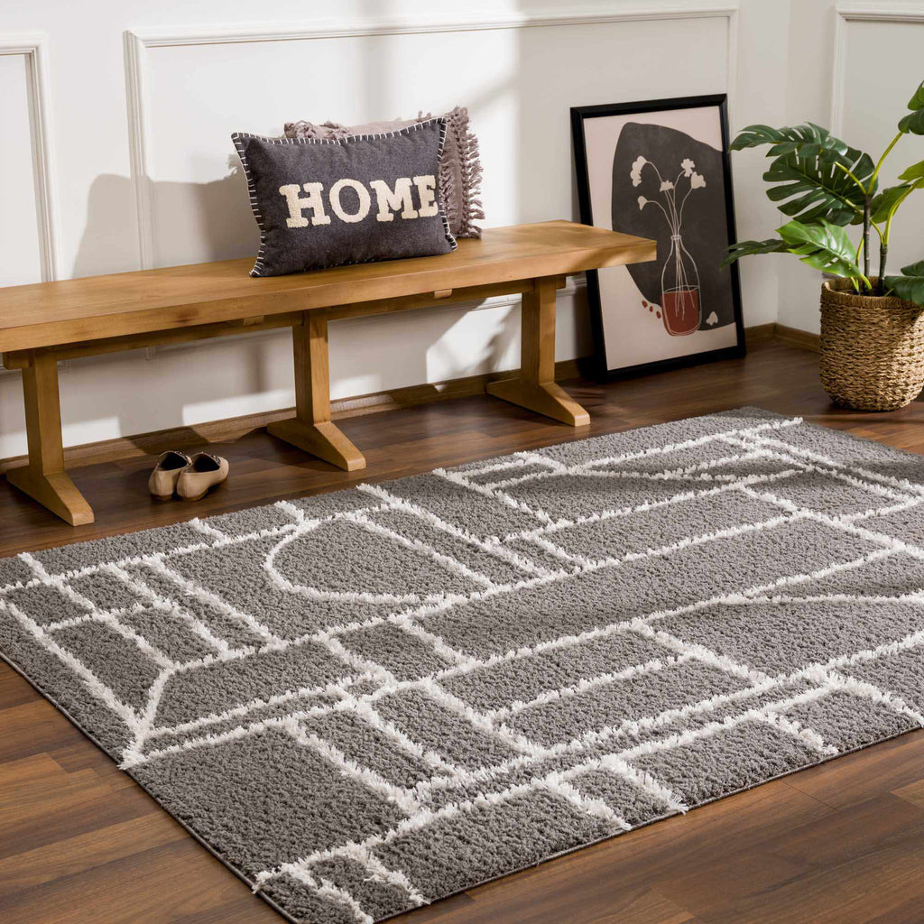 Hauteloom Andia HMSGANDIAA3 Gray Machine Made Polyester Rug