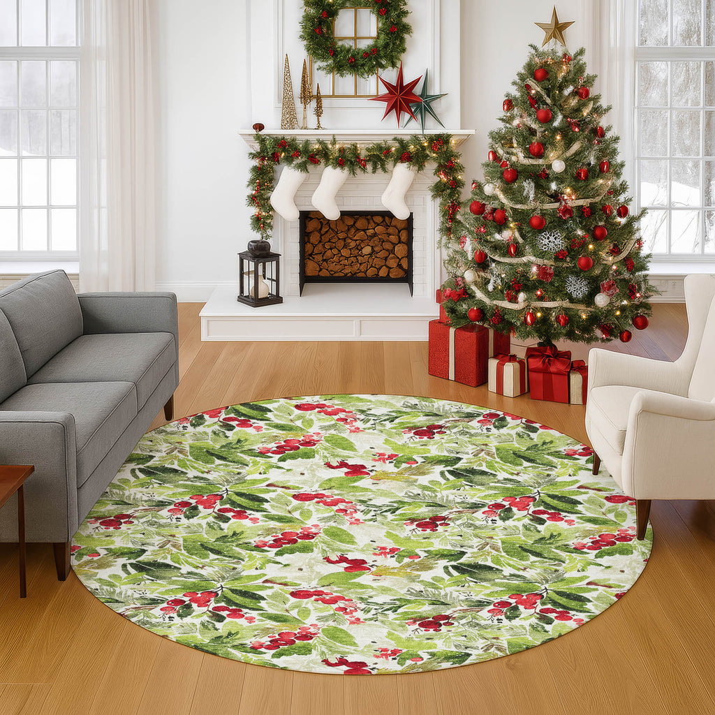 dalyn merry bright my24 aloe rug