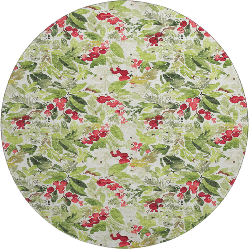 dalyn merry bright my24 aloe rug