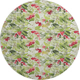 dalyn merry bright my24 aloe rug