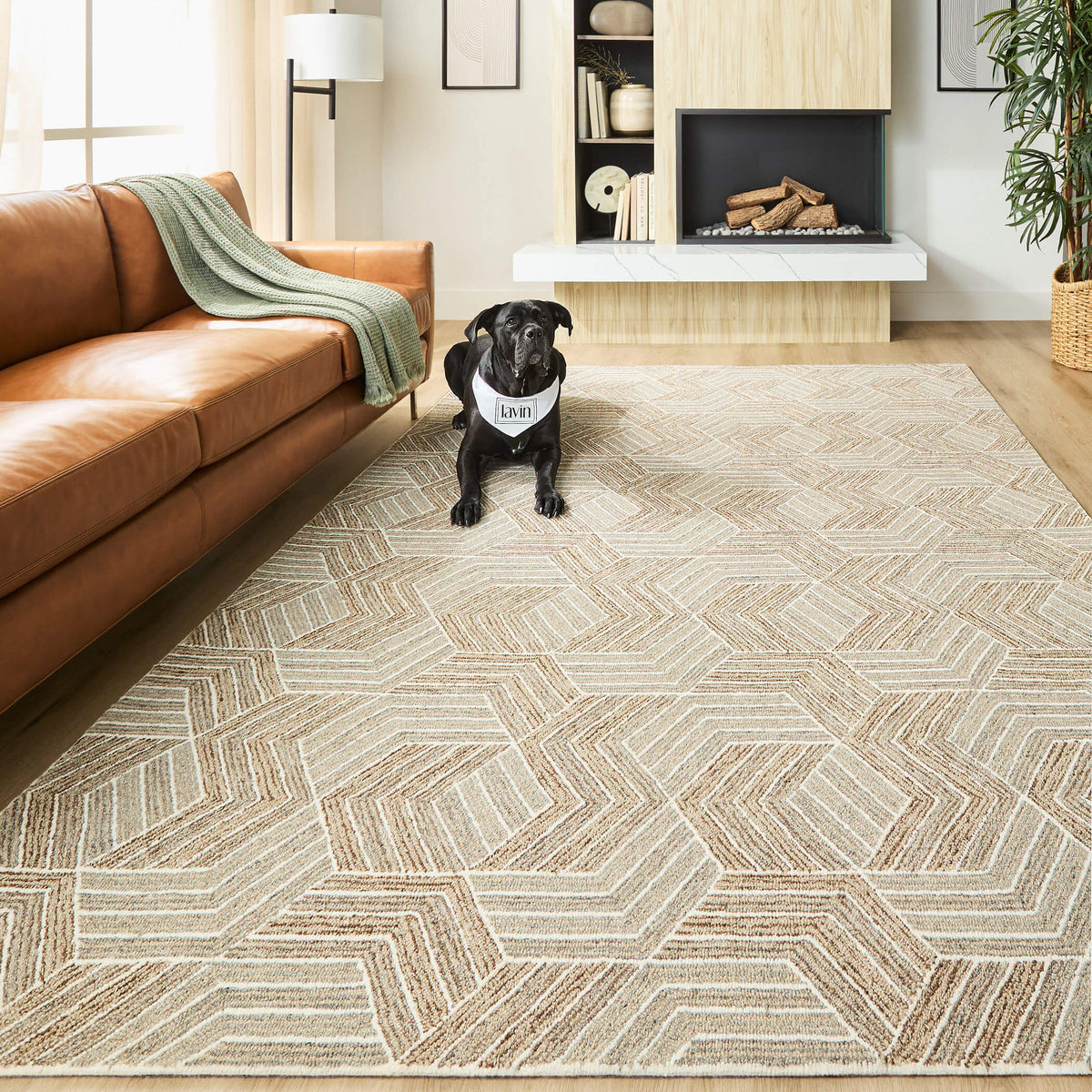 lavin sachin n2005 brown rug