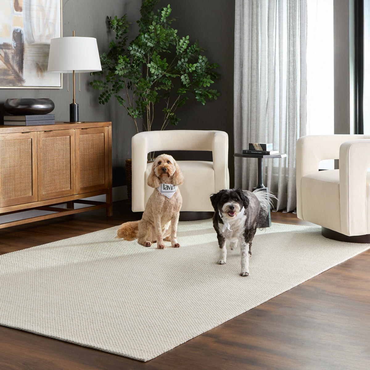 lavin brinda n3001 ivory rug