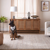 lavin pari n6008 brown rug