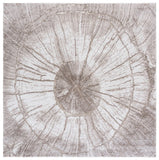 safavieh clearance northport 800 ntp806e taupe rug