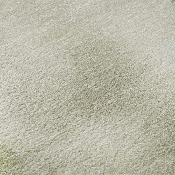 dalyn pacifica pa5 aloe rug