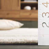 safavieh clearance pine pne803e ivory rug