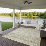 dalyn portico po1 wheat rug
