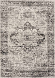 Hauteloom Park PRKOS Medium Gray Machine Made Polypropylene Rug