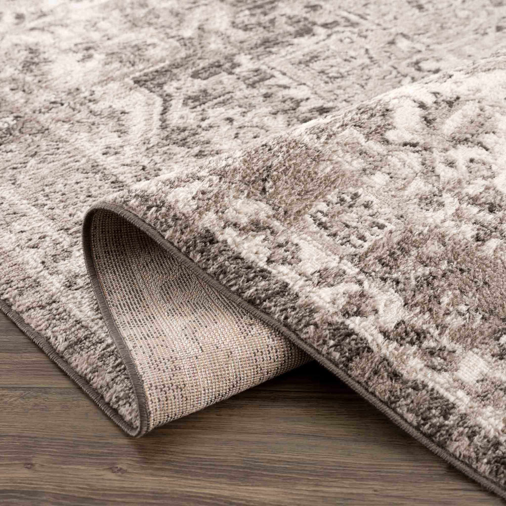 Hauteloom Albie HPTKALBIEA2 Charcoal Machine Made Polypropylene Rug
