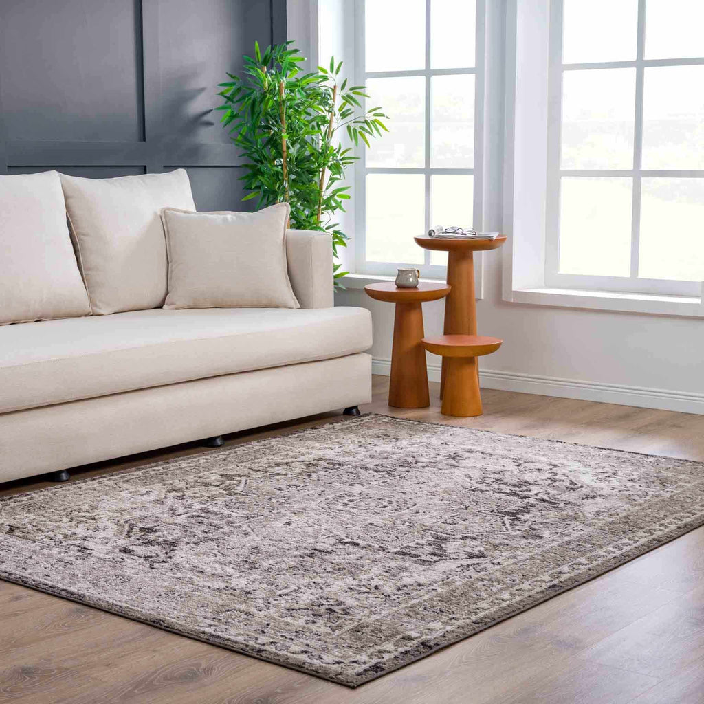 Hauteloom Albie HPTKALBIEA2 Charcoal Machine Made Polypropylene Rug