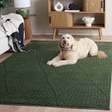 safavieh clearance revive rev108y green rug