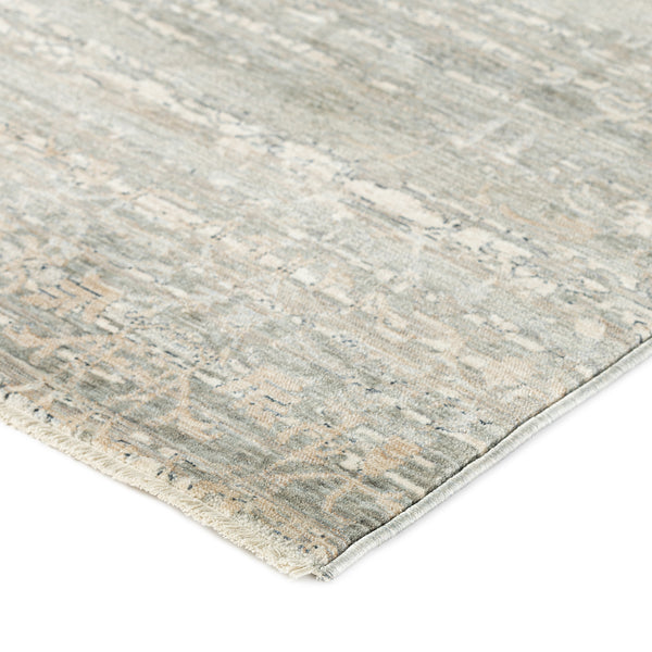 dalyn regal rg2 mist rug